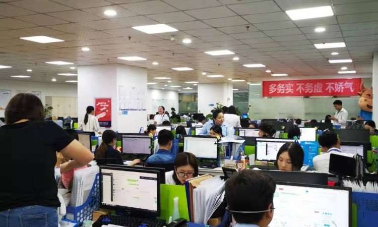 教育咨询新标杆 重庆憨牛教育信息咨询的价值与实践